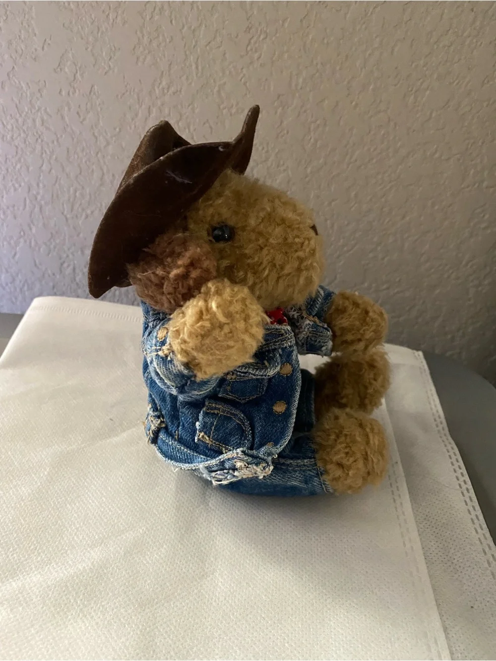 Old Navy Plush Toy Dog Cowboy Hat Jeans Jacket 6 Inch Branie Curly Hair Puppy